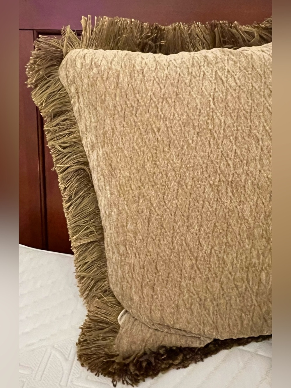 Arhaus Reversible Tapestry & Chenille Fringe Throw Pillows w/ Down Inserts - Set - Picture 11 of 16